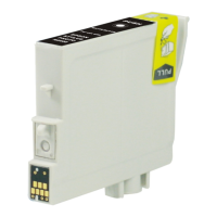 Preview: Epson T059820