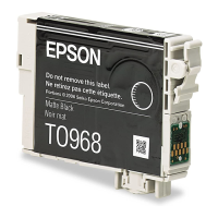Preview: Epson T096820