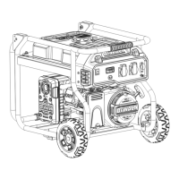 Preview: DeWalt DXGNP30E