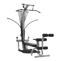 Preview: Bowflex ULTIMATE