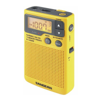 Preview: Sangean DT400W