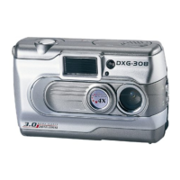 Preview: DXG DXG-308