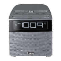 Preview: iHome iBT20