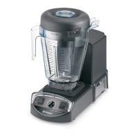 Preview: Vitamix XL