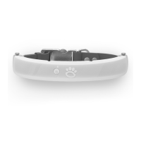 Preview: Halo Collar