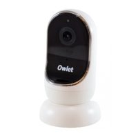 Preview: Owlet Cam