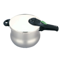 Preview: Fagor Rapida Pressure Cooker