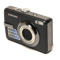 Preview: Samsung L313
