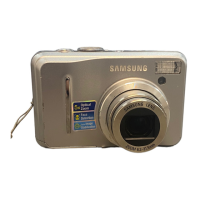 Preview: Samsung S1065