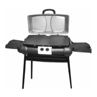 Preview: Aussie Portable LP 2200