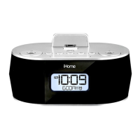 Preview: iHome iDN38