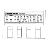Preview: Boss BE-5M