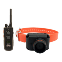 Preview: Dogtra 2500 T&B