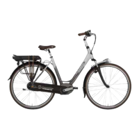 Preview: Gazelle with BOSCH System