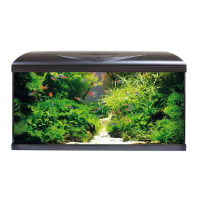 Preview: Amtra System 80 LED
