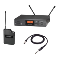 Preview: Audio Technica ATW-2110