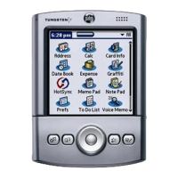 Preview: Palm Tungsten T