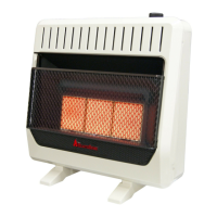 Preview: HearthSense IR16T-BB