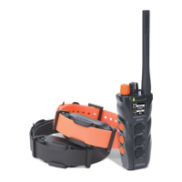 Preview: Dogtra 3502X