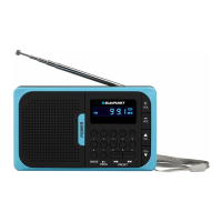 Preview: Blaupunkt PR5BL
