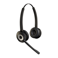 Preview: Jabra PRO 930 Duo