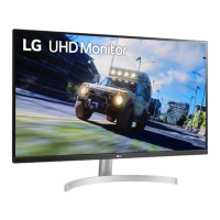 Preview: LG 32BN50U