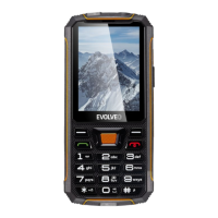 Preview: Evolveo StrongPhone Z6