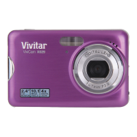 Preview: Vivitar ViviCam X029