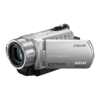 Preview: Sony DCR-SR190E