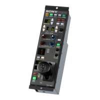 Preview: Sony RCP-1001