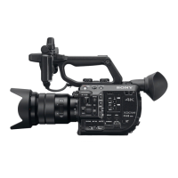 Preview: Sony PXW-FS5M2