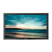 Preview: Panasonic TH-42 PH20 ER