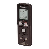 Preview: Olympus VN-6500PC