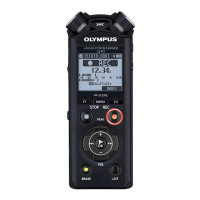 Preview: Olympus LS-P2