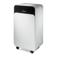 Preview: Hisense D12CW