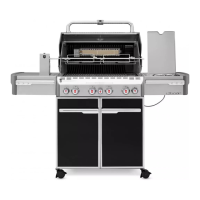 Preview: Weber Summit E-470