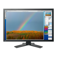 Preview: Eizo ColorEdge CG301W