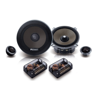 Preview: Pioneer TS-C131PRS