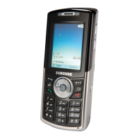 Preview: Samsung SGH-I300
