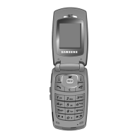 Preview: Samsung SGH-X210