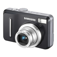 Preview: Samsung S1060