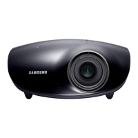 Preview: Samsung SP-D300 B