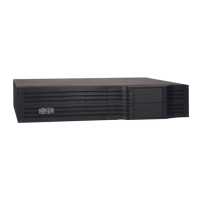 Preview: Tripp Lite BP48V24-2U