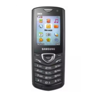 Preview: Samsung GT-C5010