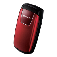 Preview: Samsung SGH-C270