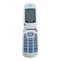 Preview: Samsung SGH-X550