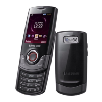 Preview: Samsung GT-S3100