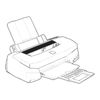 Preview: Epson Stylus Photo 750