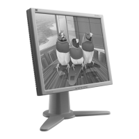 Preview: ViewSonic VP191b