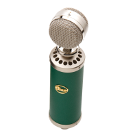 Preview: Blue Microphones Kiwi